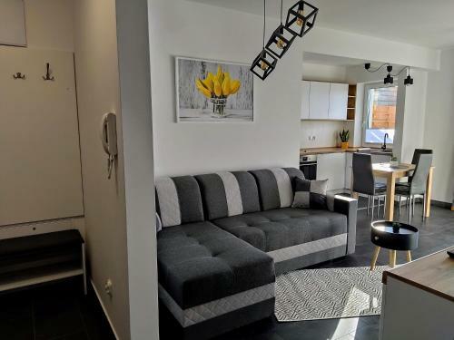 Apartament 36