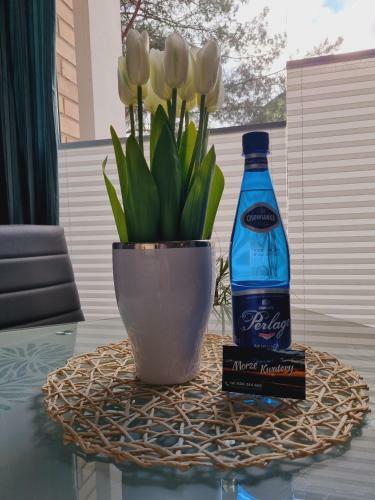 Morze-kwatery Apartament Turystyczna