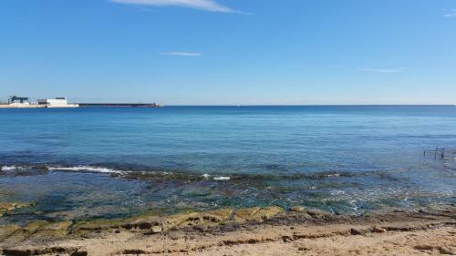 Apartamento Homely Appartment Playa Acequion