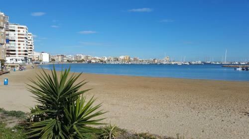 Apartamento Homely Appartment Playa Acequion