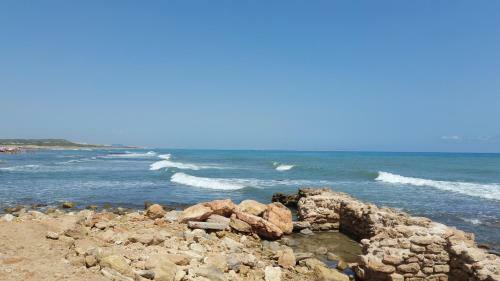 Apartamento Homely Appartment Playa Acequion