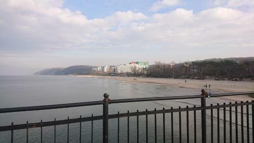 Apartament Orchidea New Slavia