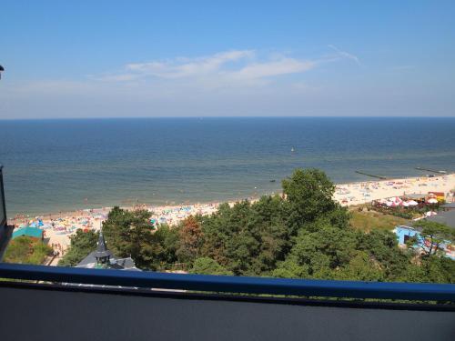 Apartamenty Cameo