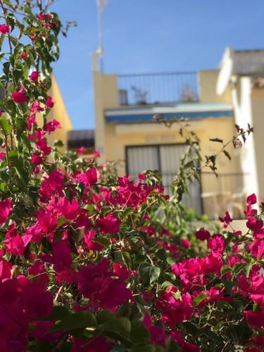 Apartamento Appartement Kyrah