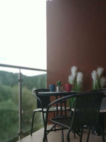 Apartament Mi?dzyzdroje