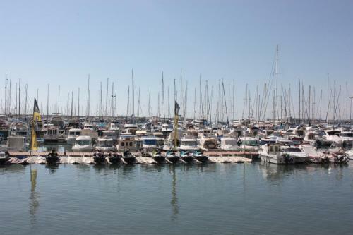 Dream Apartment Torrevieja