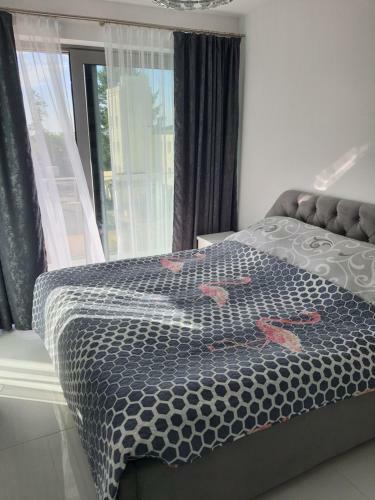 Apartamento La Perla Studio Nad Morzem