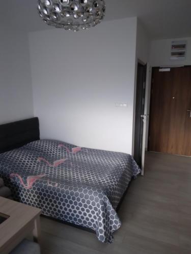 Apartament La Perla 4