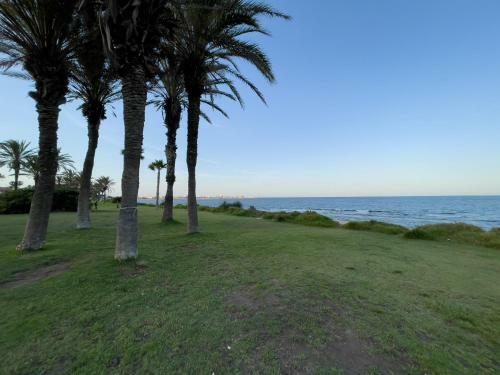 Apartamento Torrevieja Experience Mar Azul