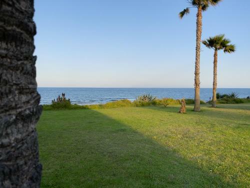 Apartamento Torrevieja Experience Mar Azul