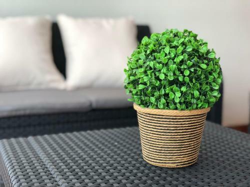 Apartamento Torrevieja Sunrise Atalayas