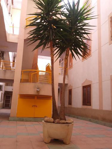 Apartamento Altos Del Eden II 'valencia'