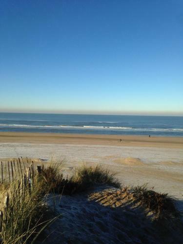 Apartamento Parc House Zandvoort