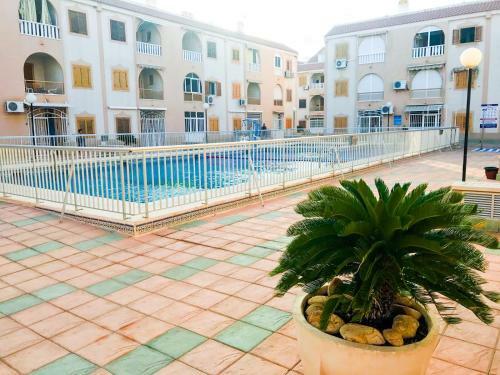 Sunshine Apartment