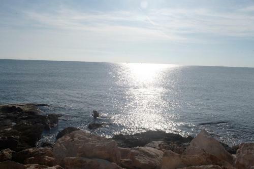 Apartamento Cozy Studio In Torrevieja, Estudio Tamarindo