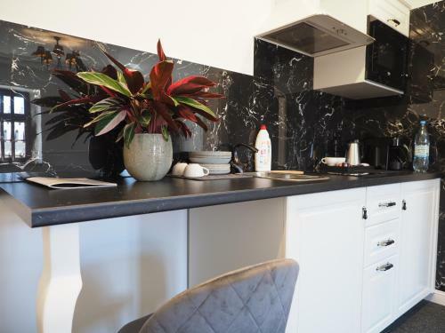 Apartamenty Stary Browar Ole?nica