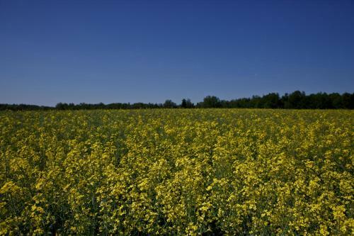 Agroturystyka Wichrowe Wzgorze