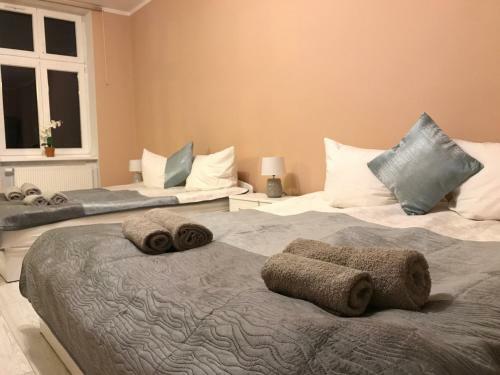 Renovated Apartment In Opole