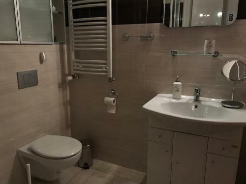 Renovated Apartment In Opole