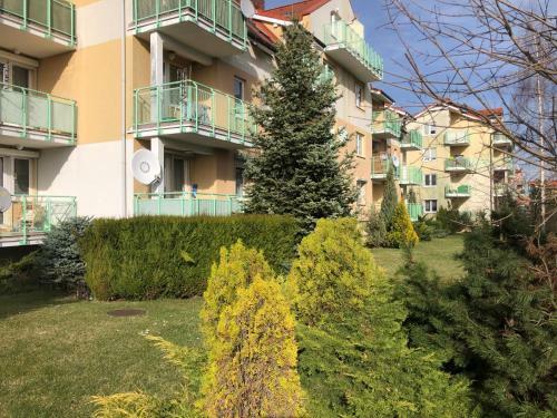 Apartament S?oneczny 1