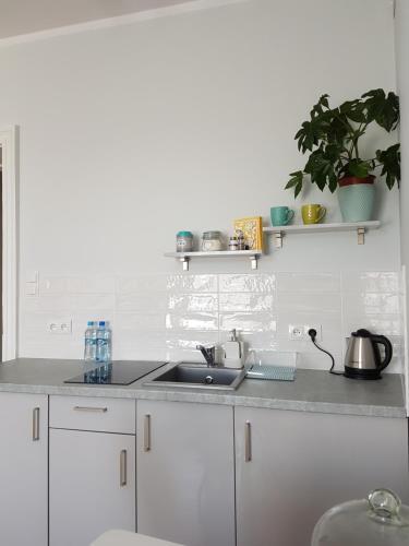Proseco Apartments -self Check-in-