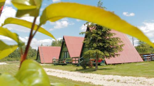 Apartamento Siedlisko K?pina Zdr�j