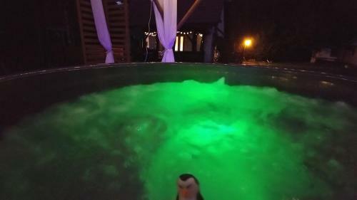 Lodge Ranczo W Lesie, Jacuzzi W Ogrodzie