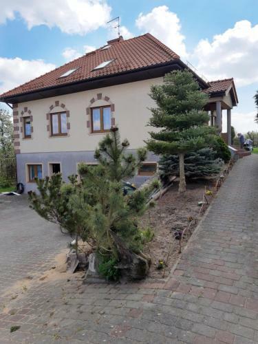 Apartament Kajkowo