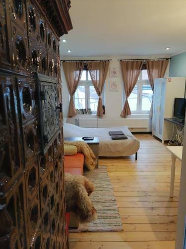 Apartamento Staszica Star�wka
