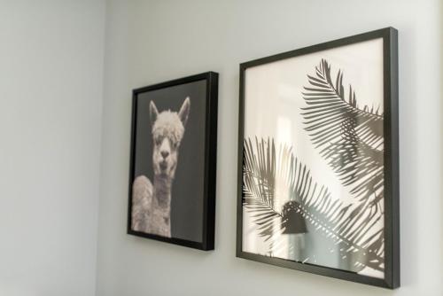 Apartamento Le?na#46