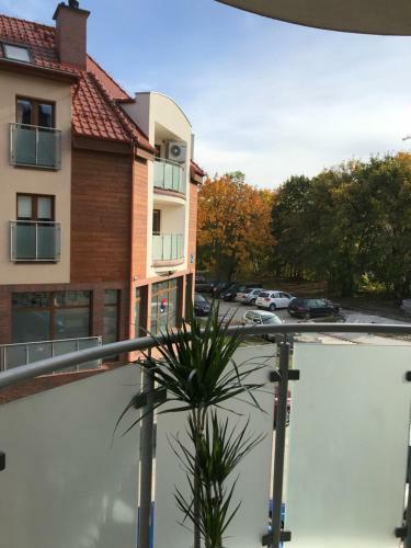 Apartament Central Park