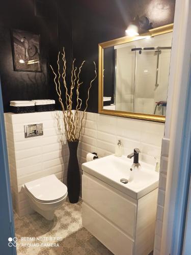 Kameralny Apartament Brzeziny