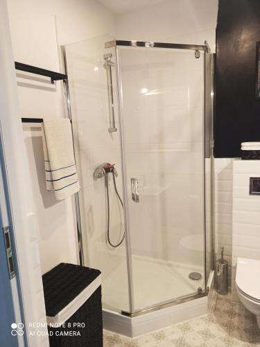Kameralny Apartament Brzeziny