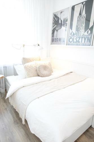 Apartament Alternatywny