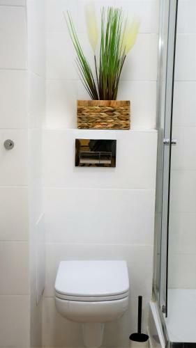 Apartament Spichlerz - Star�wka