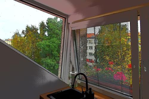 Apartamento Copernicus 11