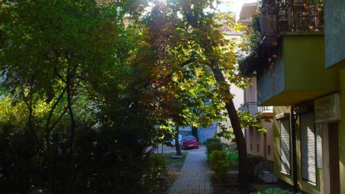 Apartamento Copernicus 11