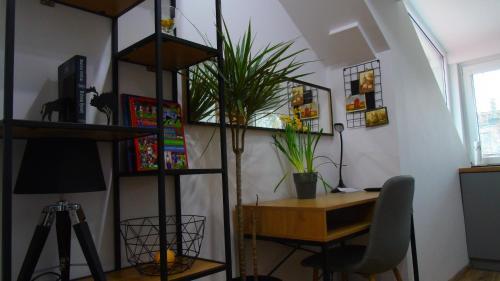 Apartamento Copernicus 11