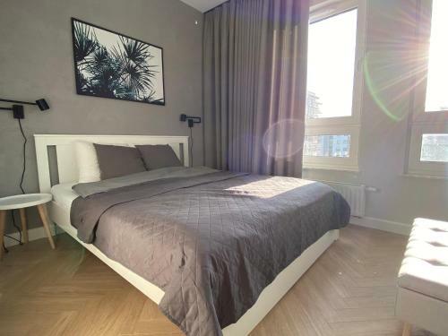 Apartament Aurora