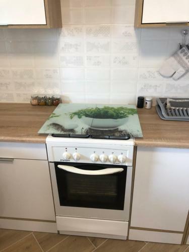 Apartament Ogr�d