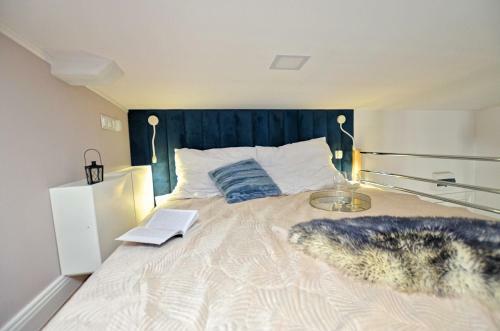 Apartamenty Premium ?r�dmie?cie