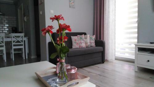 Apartament Antek Klimatyzowany