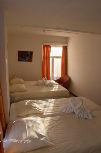 Hotel 2000