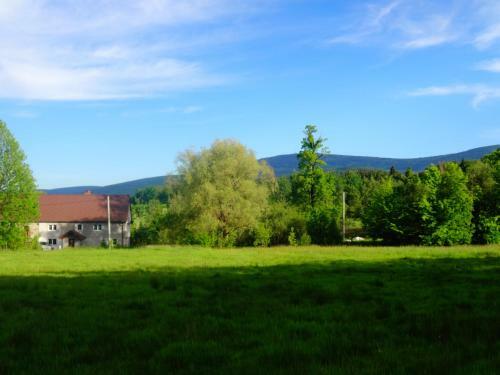 Pokoje Go?cinne Przy Lesie