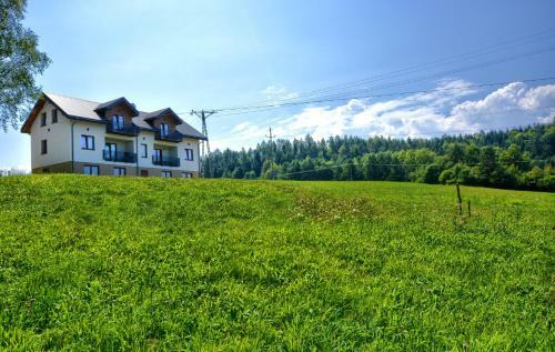 Apartamenty Bieszczadzki Horyzont