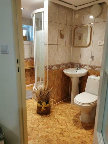 Apartament Pod Zapor? Solina