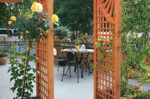 Apartamenty Kornel