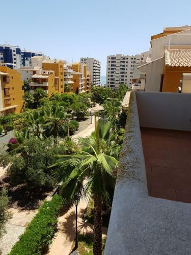 Apartamento Vackra Punta Prima