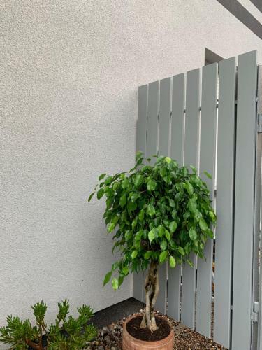 48c Domki Letniskowe I Apartament