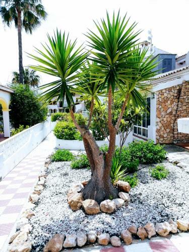 Bungalow De Vacaciones